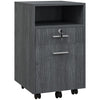 Small Filing Cabinet with 2 Drawers, Lockable Home Office Storage Cabinets on Wheels for A4, Letter Size, Grey