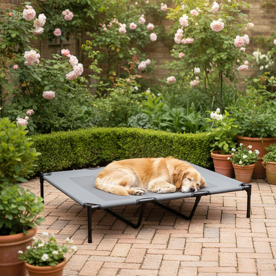 Elevated Dog Bed, Raised Dog Cot for XL Sized Dogs, Indoor & Outdoor, 48