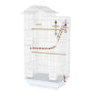Cage à oiseaux de 39 po pour perruches, calopsittes, conures et petits oiseaux, avec échelle, balançoire, jouets, perchoirs, tiroir, mangeoires et poignée