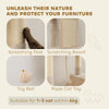 81