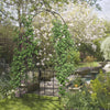 7.6FT Metal Garden Arch with Gate, Garden Arbor Trellis for Climbing Plants, Roses, Vines, Wedding Arch, Black