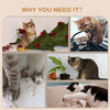 4PCs Cat Wall Shelves with Steps, Scratching Posts, Ladder, Platforms, Toy Balls