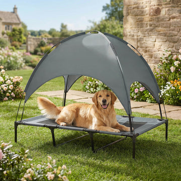Elevated Dog Bed with Canopy, Portable Raised Dog Cot for XL Sized Dogs, Indoor & Outdoor, 48