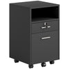 Small Filing Cabinet with 2 Drawers, Lockable Home Office Storage Cabinets on Wheels for A4, Letter Size, Black
