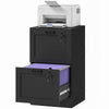 Vertical Filing Cabinet with 2 Drawers, Lock, File Cabinet for Home Office, A4 and Letter Size Files, Black