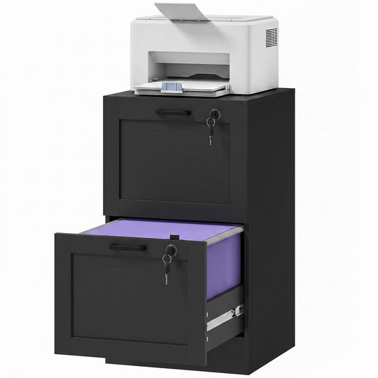 Vertical Filing Cabinet with 2 Drawers, Lock, File Cabinet for Home Office, A4 and Letter Size Files, Black