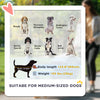 Foldable Pet Stroller for Medium Dogs with Four Big Wheels, Shock-Absorbing Frame, Safety Leashes, Brakes