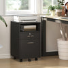 Small Filing Cabinet with 2 Drawers, Lockable Home Office Storage Cabinets on Wheels for A4, Letter Size, Black