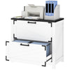 2 Drawer Filing Cabinet, Farmhouse Office Storage Cabinet with Adjustable Hanging Bars for Letter, A4, Legal Size, White