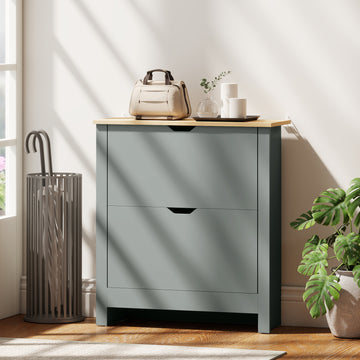 Shoe Storage Cabinet with 2 Flip Drawers and Adjustable Shelves for 12 Pairs of Shoes, Light Grey