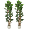 6FT Artificial Fiddle Leaf Fig Tree Set of 2, Fake Potted Tree with Solid Wood Trunks for Indoor Decor, Green