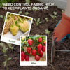 6.5ft x 164ft Weed Barrier, Landscape Fabric, for Greenhouse Yard Garden Weed Control, Heavy-Duty & Easy Setup, 2oz