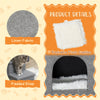 Dog Ramp with Storage Boxes and Condo, 3-step Pet Stairs for High Beds and Couch with Washable Plush Cushion