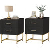 2 Pieces Nightstands with Storage, Modern Bedside Tables with 2 Fluted Drawers and Gold Legs for Bedroom, Black
