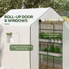 Portable Greenhouse, Walk-In Small Outdoor Green House with 2 Tier U-Shaped Flower Rack Shelves, 4.6' x 4.7', White
