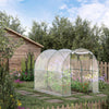 Dome Tunnel Greenhouse Plant Shed with Roll Up Door, 6.6' x 8.2' x 6.6', Transparent