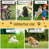 Dog Agility Equipment Set, Portable Dog Agility training equipment for Outdoor Play Run