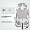 Ergonomic Office Chair, Mesh Reclining Desk Chair with Adjustable Lumbar Support, Headrest, Grey