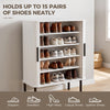 Shoe Cabinet Adjustable Shelves Shoe Storage Cabinet Side Cubbies Tambour Door, White