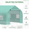 20x10x7ft Walk-in Steeple Greenhouse Outdoor Backyard Plant Seed Growth Tunnel Shed Warm House with 2 Anchor Way, Green