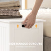 Large Storage Box Storage Trunk Cabinet Container with Lid and 2 Safety Hinges, White