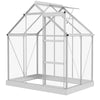 6' x 4' Walk-In Greenhouse, Polycarbonate Greenhouse with Sliding Door, Window, Aluminium Frame, Foundation, Silver