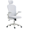 Office Chair, Mesh Computer Desk Chair with Adjustable Headrest, 4D Lumbar Support, Flip-up Arm, White