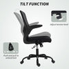 Ergonomic Mesh Office Chair with 4D Lumbar Support, Swivel Desk Chair with Flip-up Armrests, Tilt Function, Grey