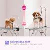 Foldable Pet Grooming Table for Dogs Cats with Adjustable Arm, Non-slip Surface, Grey