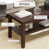 2 Tier Coffee Table with Storage Shelf, Rectangular Center Table for Living Room, Home Office Furniture Walnut