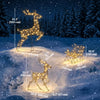 3-Piece Lighted Reindeer and Sleigh Set, PP Rattan Outdoor Christmas Decoration with LEDs, 8 Modes, Daily Timer