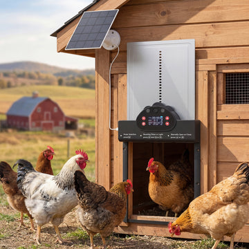 2K HD AI Camera Automatic Chicken Coop Door with APP, WiFi Solar Powered with 5200 mAh Large Battery, Alarm Driver