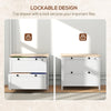 2 Drawer File Cabinet, Lockable Filing Cabinet with Adjustable Hanging Bar for Letter, A4 and Legal Size, White