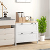 2 Drawer File Cabinet, Lockable Filing Cabinet with Adjustable Hanging Bar for Letter, A4 and Legal Size, White