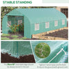20x10x7ft Walk-in Steeple Greenhouse Outdoor Backyard Plant Seed Growth Tunnel Shed Warm House with 2 Anchor Way, Green