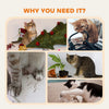 Cat Tree, Small Cat Tower with Perch, Scratching Post, Cat Condo, Toy Ball for Kitty, Leopard Print