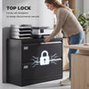 Lateral Filing Cabinet with 2 Drawers, Lockable Steel File Cabinet for A4/Letter/Legal Size Files, Black