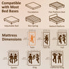 Twin Mattress 6 Inch Memory Foam Mattress in a Box, Pressure Relief & Lumbar Support, CertiPUR-US Certified, Medium Firm