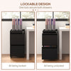 Mobile Vertical Filing Cabinet with Lock, 2-Drawer Steel File Cabinet with Adjustable Hanging Bar for Letter, A4 and Legal Size, Black