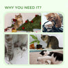Cat Tower Condo for Indoor Cats, Small Cat Tree with Jute Scratching Posts, Top Perch, Dangling Balls