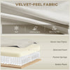 3 Seater Sofa, Velvet Upholstered Couch with Spring Cushions, Rubber Wood Legs and 2 Pillows
