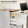 2 Drawer File Cabinet with Silent Slides, Vertical Farmhouse Filing Cabinet Fits Letter/A4 Size Home Office, White