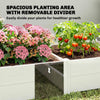 Vinyl Raised Garden Bed Kit, 6.5 x 3 x 1ft Elevated Garden Box with Divider and Open Bottom, White