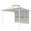 10' x 10' Patio Gazebo, Double Roof Outdoor Gazebo Canopy Shelter with Storage, Hook, Metal Frame