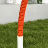 Dog Agility Kit Pet Obstacle Course Training Equipment Outdoor with Weave Poles, Carry Bag, Orange