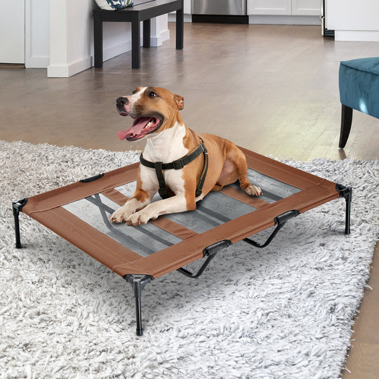 Elevated Dog Bed, Raised Dog Cot for XL Sized Dogs, Indoor & Outdoor, 48
