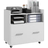 Mobile Filing Cabinet, Rolling File Cabinet with Drawer and Adjustable Hanging Bar for Letter, A4 and Legal Size, White