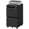 Mobile Vertical Filing Cabinet with Lock, 2-Drawer Steel File Cabinet with Adjustable Hanging Bar for Letter, A4 and Legal Size, Black