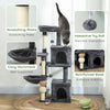 Cat Tower, 42