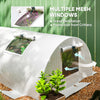 Portable Mini Greenhouse, Tunnel Growing Tent with 5 Mesh Windows and Steel Frame,10' x 3' x 2', White